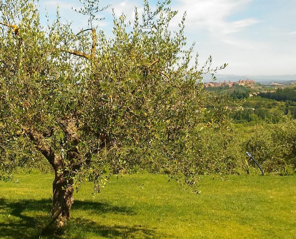 Capanna 1826 * San Gimignano